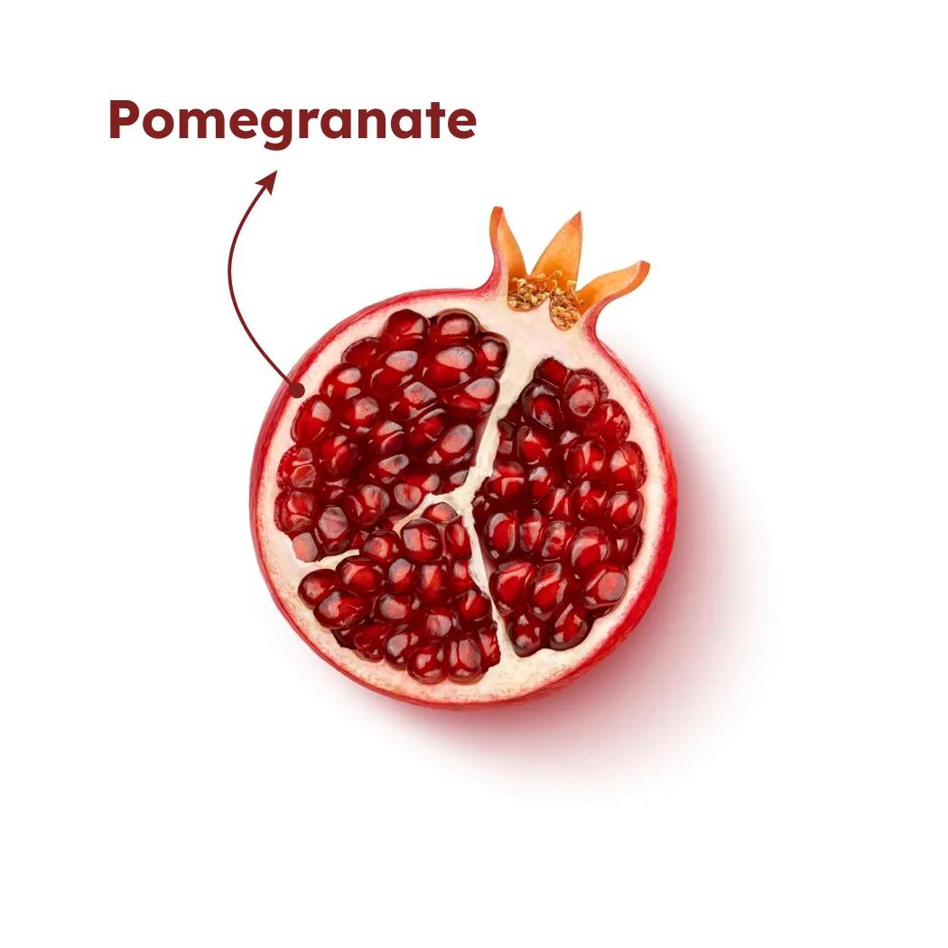 Lorem Ipsum