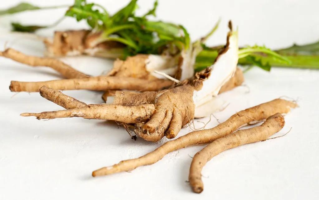Inulin - Chất Xơ Hữu Ích Nhất Cho Cơ Thể